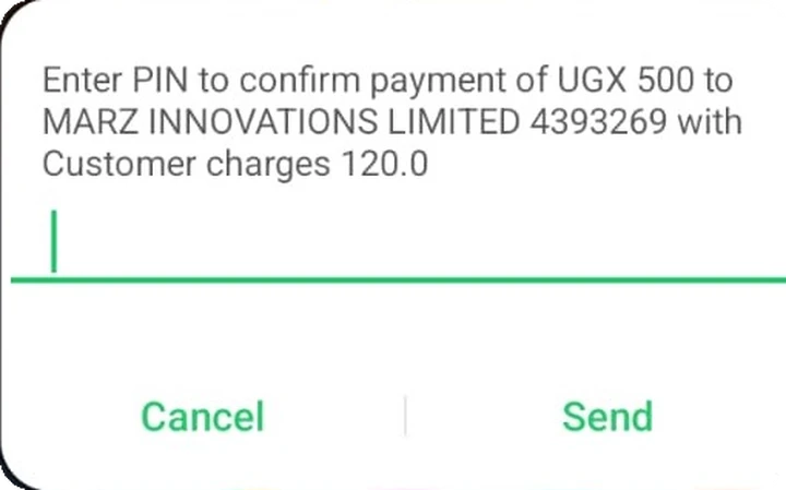 PIN prompt on the customer's phone